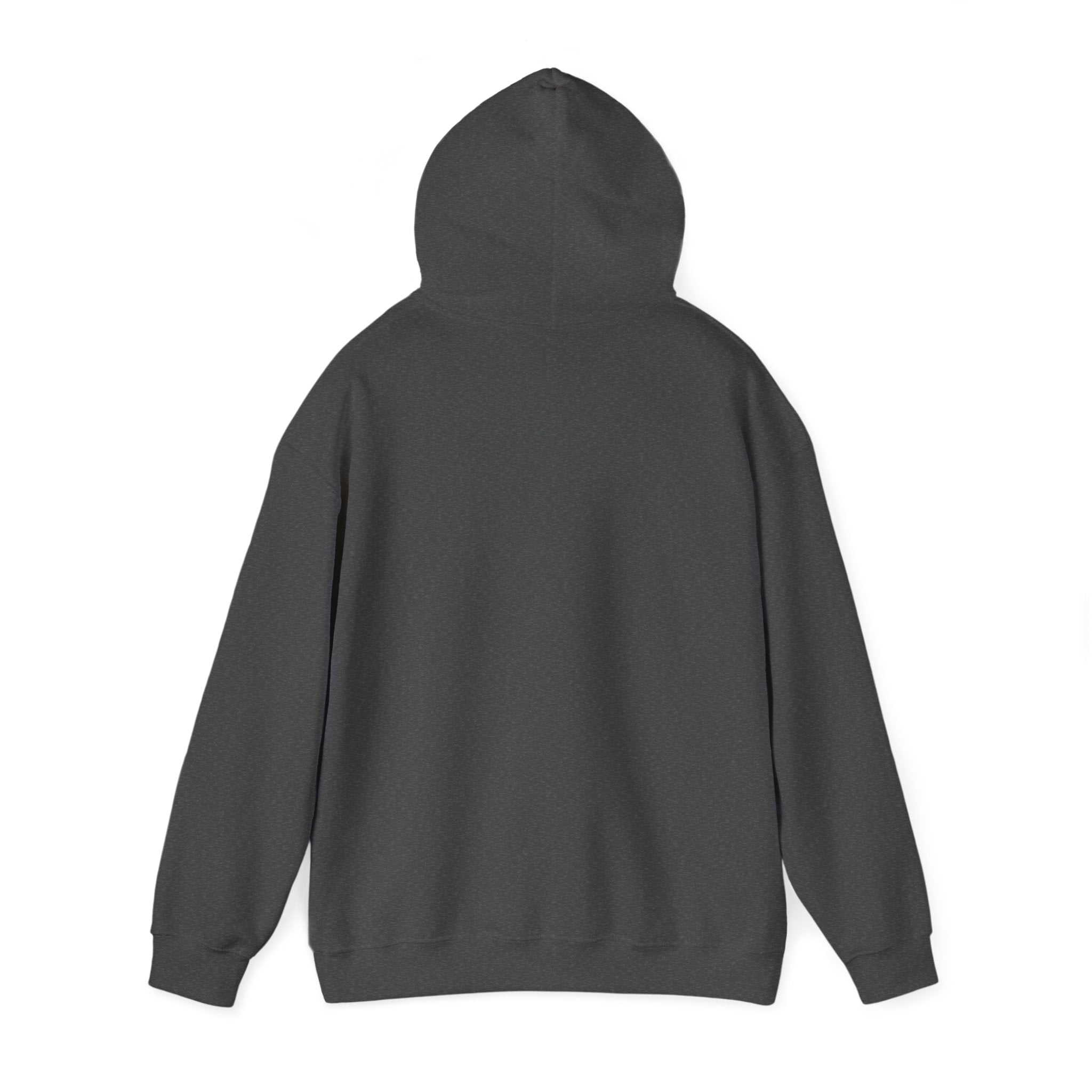 Little Bit Haunted Hoodie — Retro Halloween Ghost Pullover