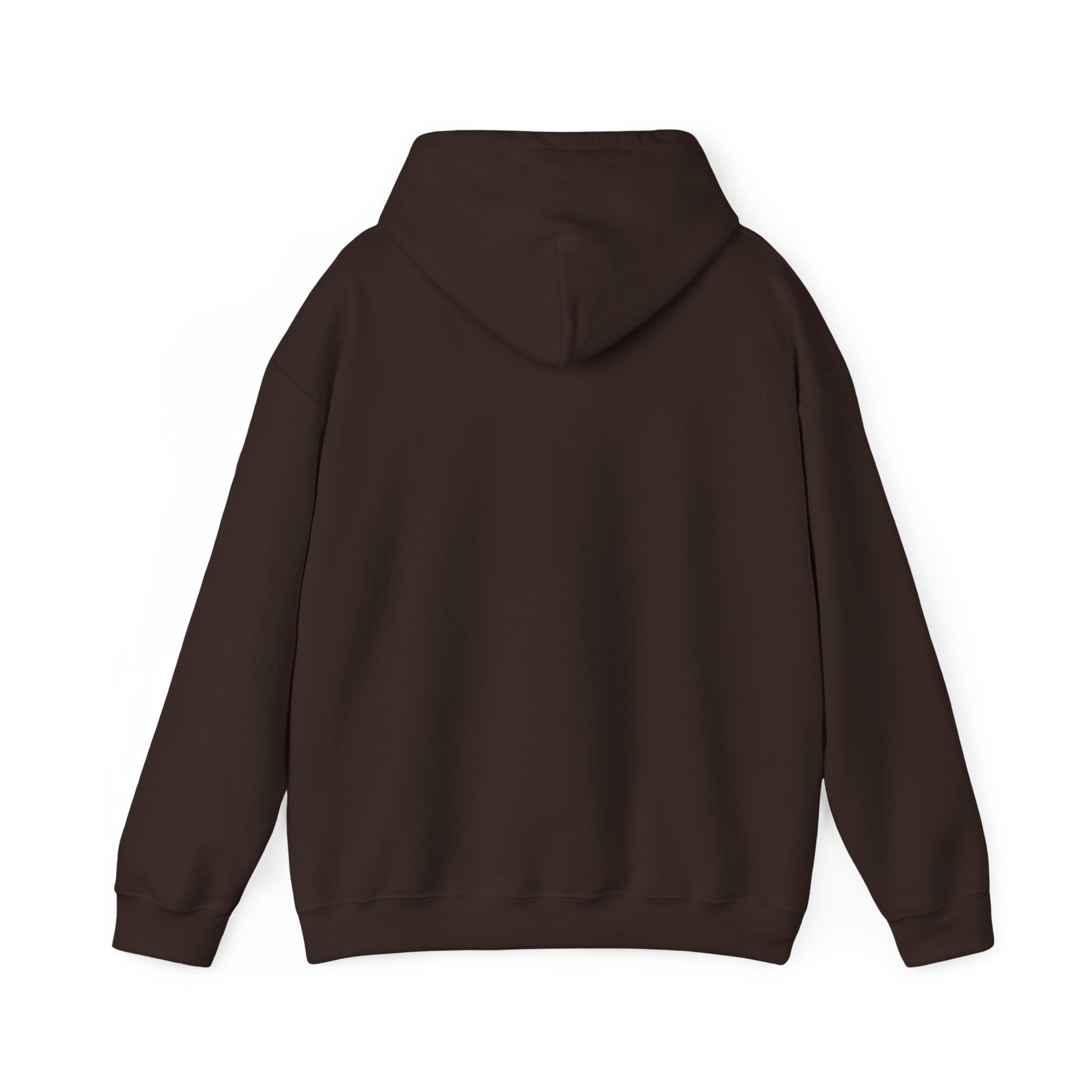 Pumpkin Season Hoodie — Autumn Pumpkin Graphic Sweatshirt