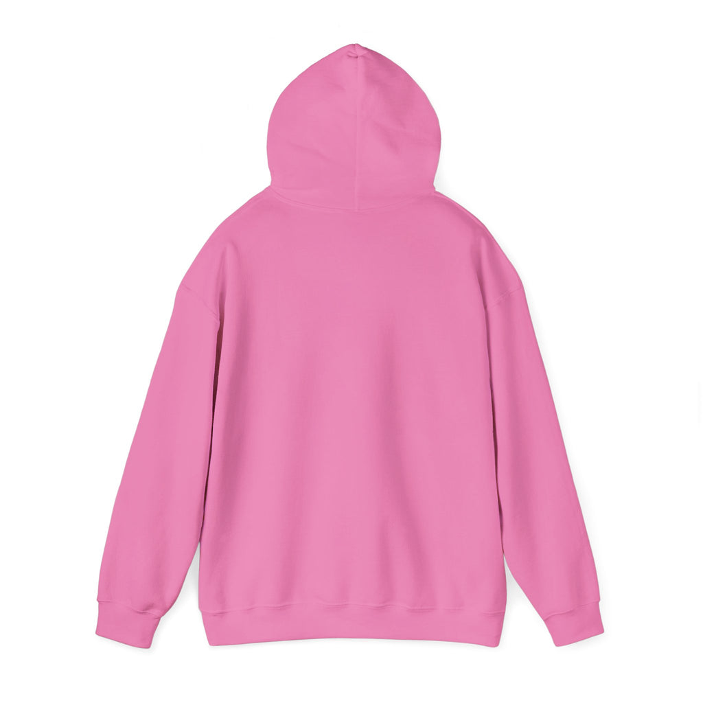 NO Minimal Grumpy Humor Hoodie | Deadpan Text, Introvert Humor