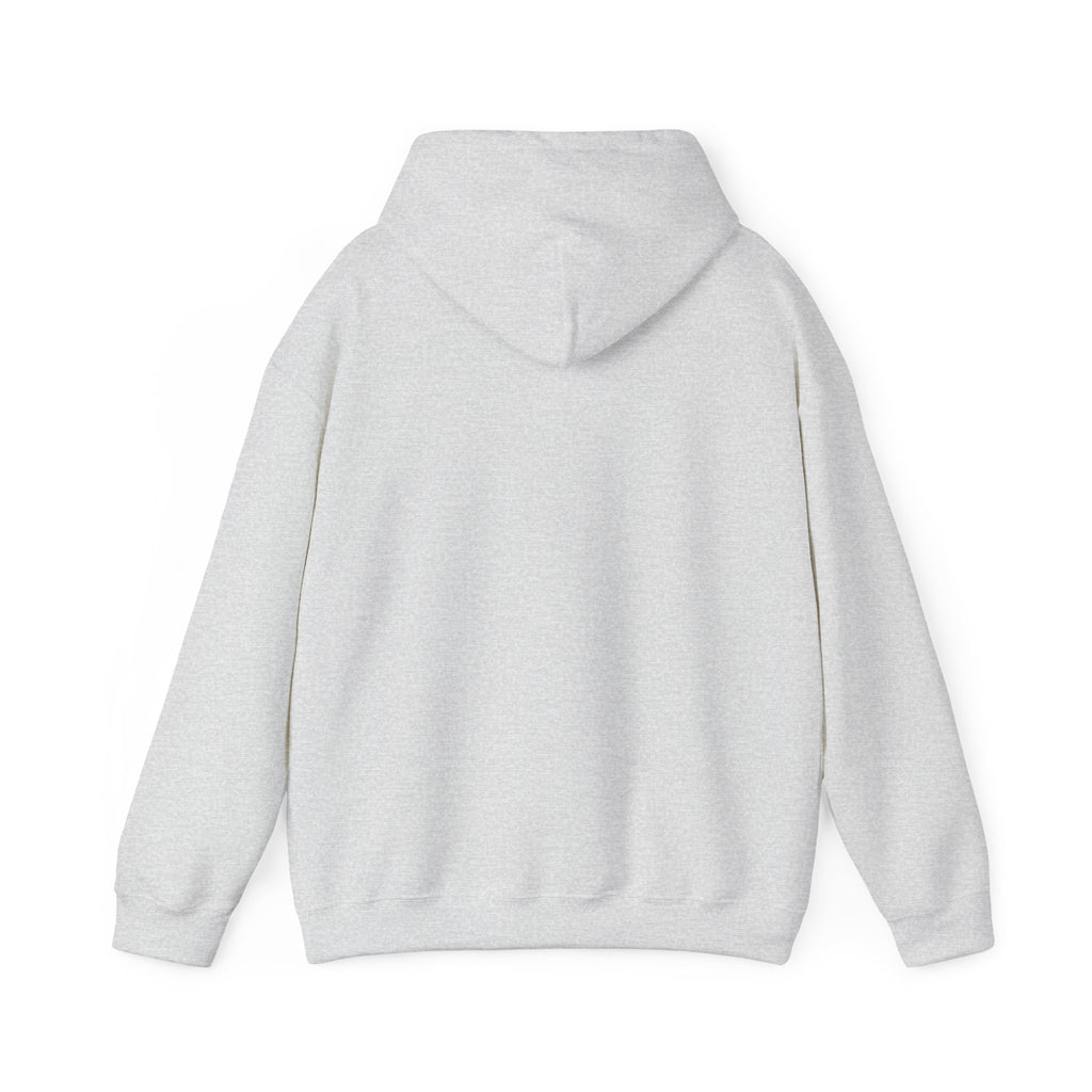 NO Minimal Grumpy Humor Hoodie | Deadpan Text, Introvert Humor