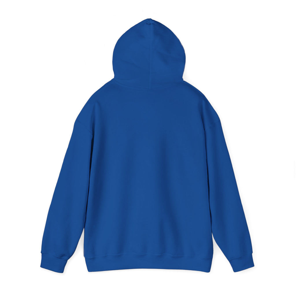 NO Minimal Grumpy Humor Hoodie | Deadpan Text, Introvert Humor