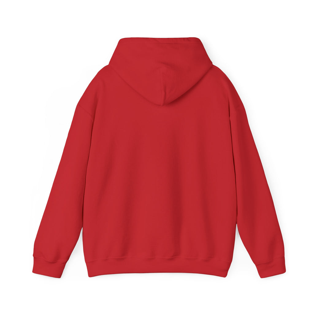 NO Minimal Grumpy Humor Hoodie | Deadpan Text, Introvert Humor
