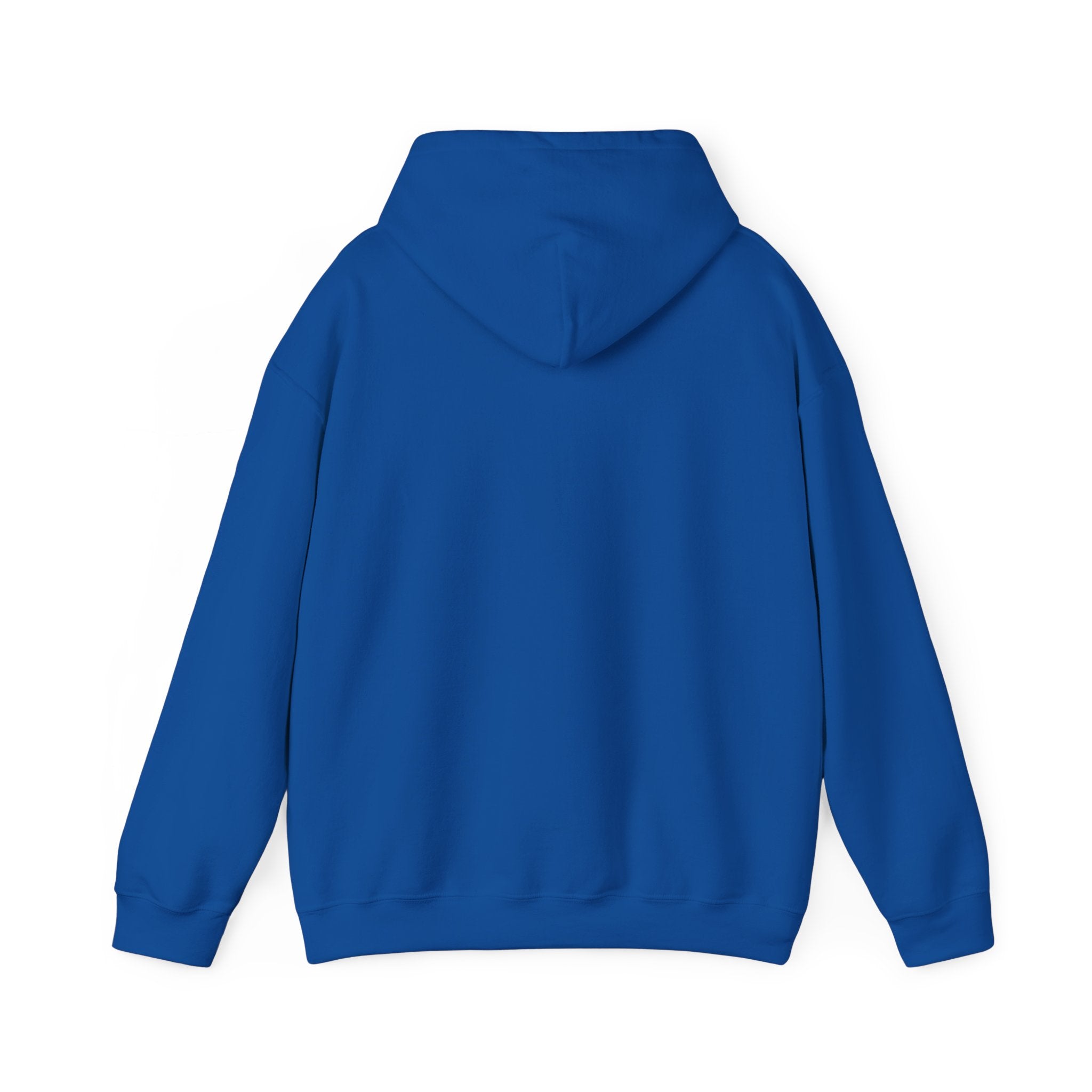 NO Minimal Grumpy Humor Hoodie | Deadpan Text, Introvert Humor