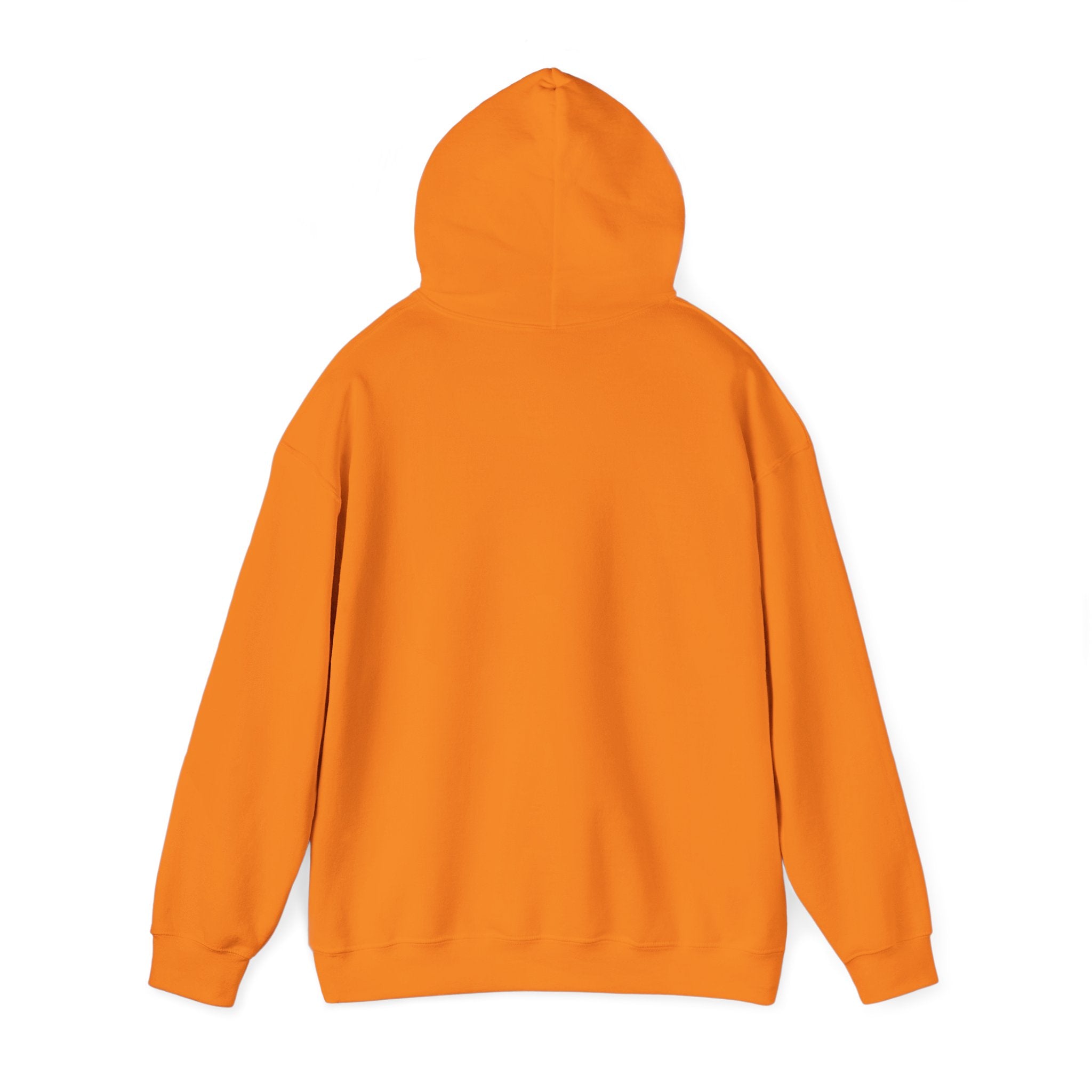 NO Minimal Grumpy Humor Hoodie | Deadpan Text, Introvert Humor
