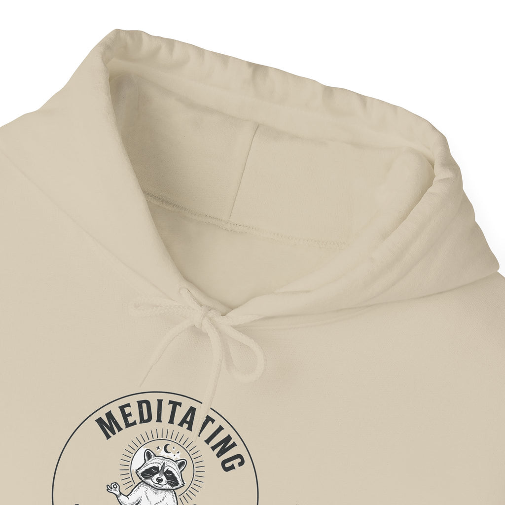 Meditating Raccoon Hoodie | Feral Raccoon Aesthetic, Celestial Wilderness