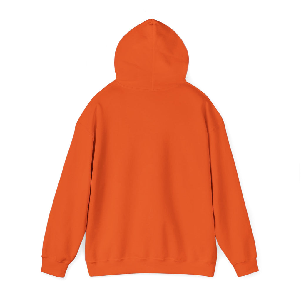 NO Minimal Grumpy Humor Hoodie | Deadpan Text, Introvert Humor