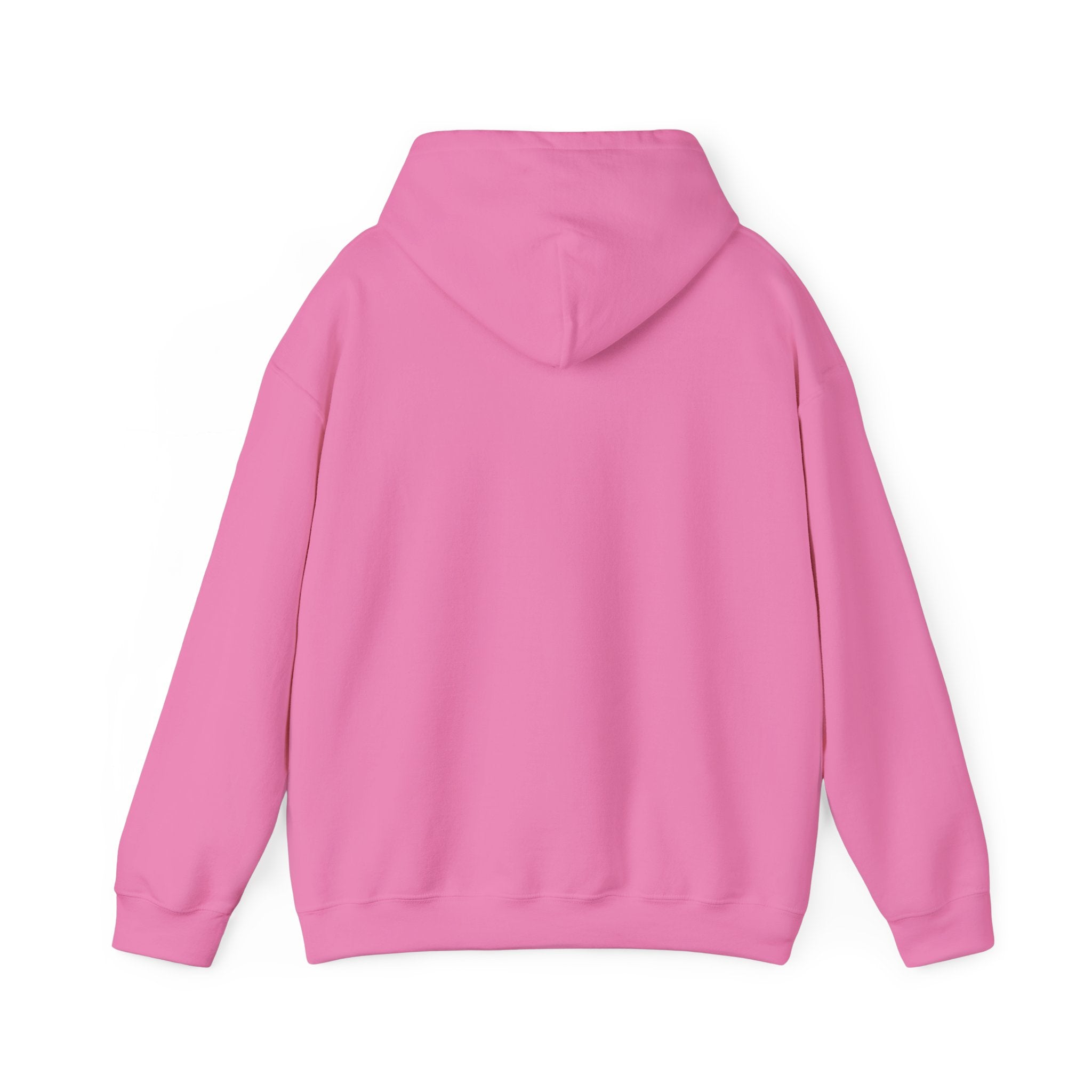 NO Minimal Grumpy Humor Hoodie | Deadpan Text, Introvert Humor