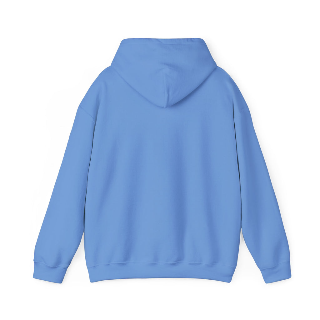 NO Minimal Grumpy Humor Hoodie | Deadpan Text, Introvert Humor