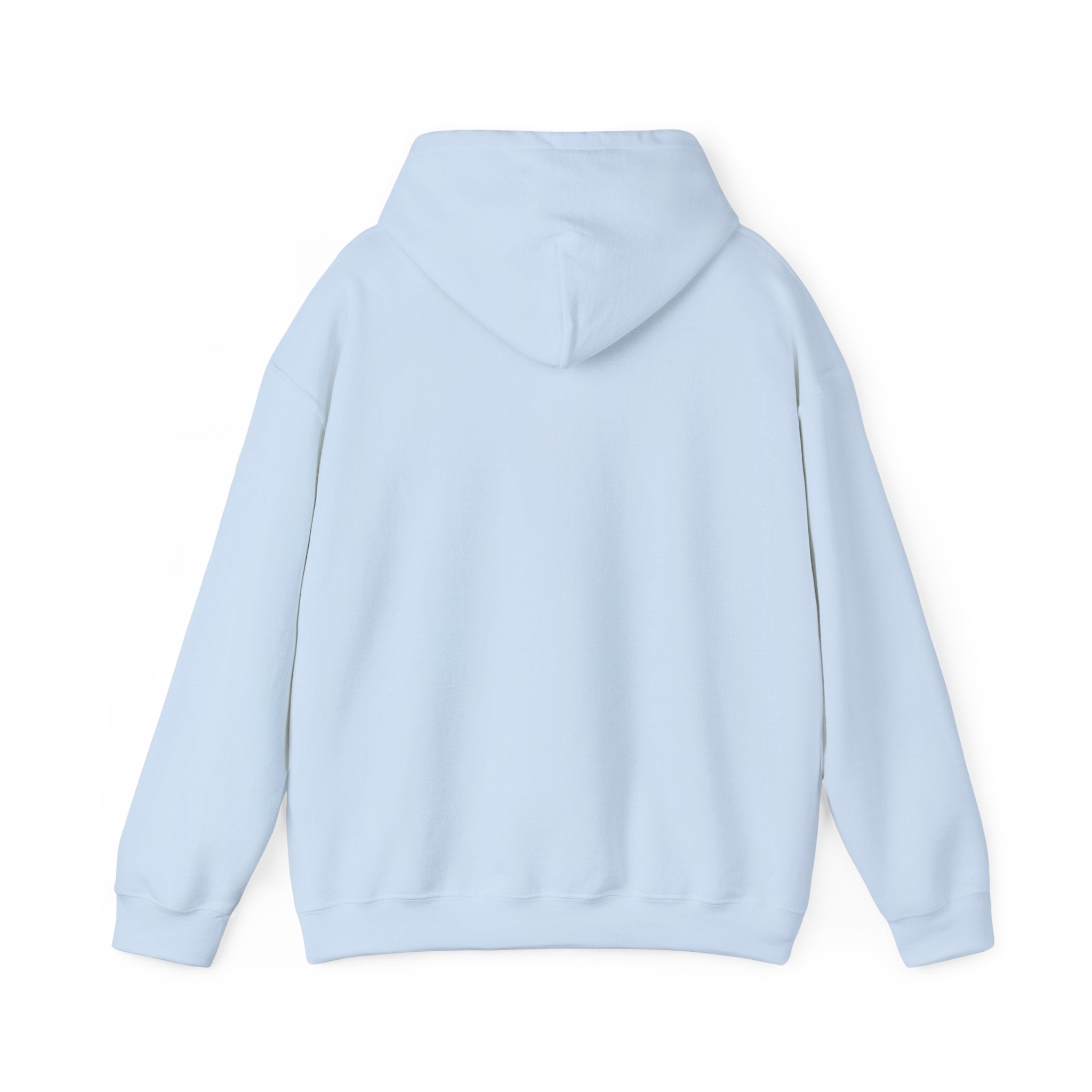 NO Minimal Grumpy Humor Hoodie | Deadpan Text, Introvert Humor