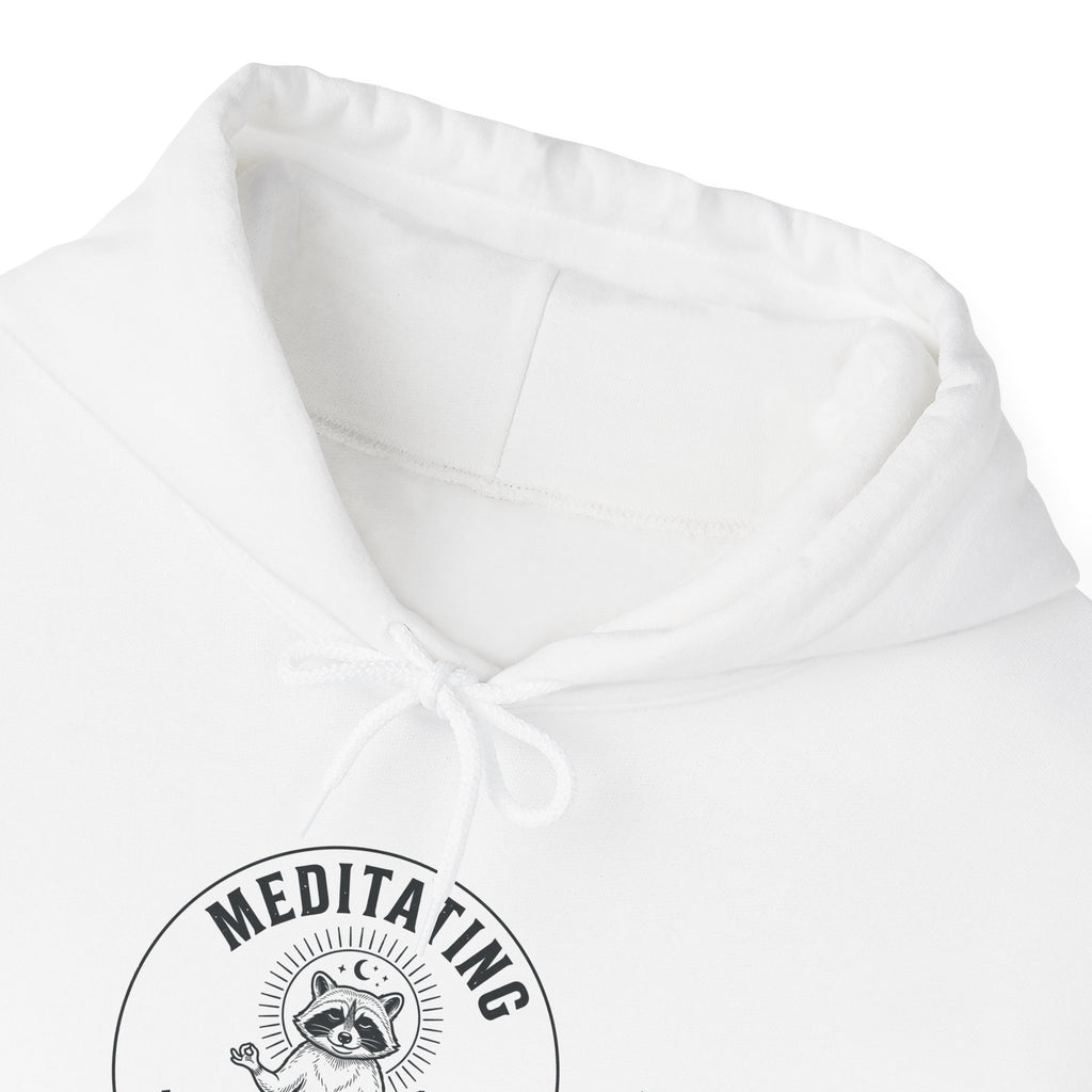 Meditating Raccoon Hoodie | Feral Raccoon Aesthetic, Celestial Wilderness