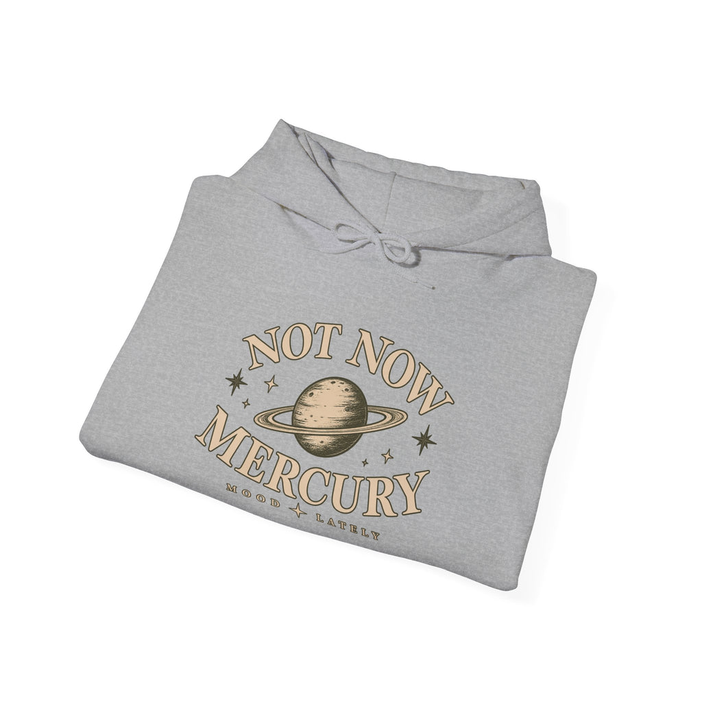 Not Now Mercury Hoodie — Mercury Retrograde Astrology Pullover