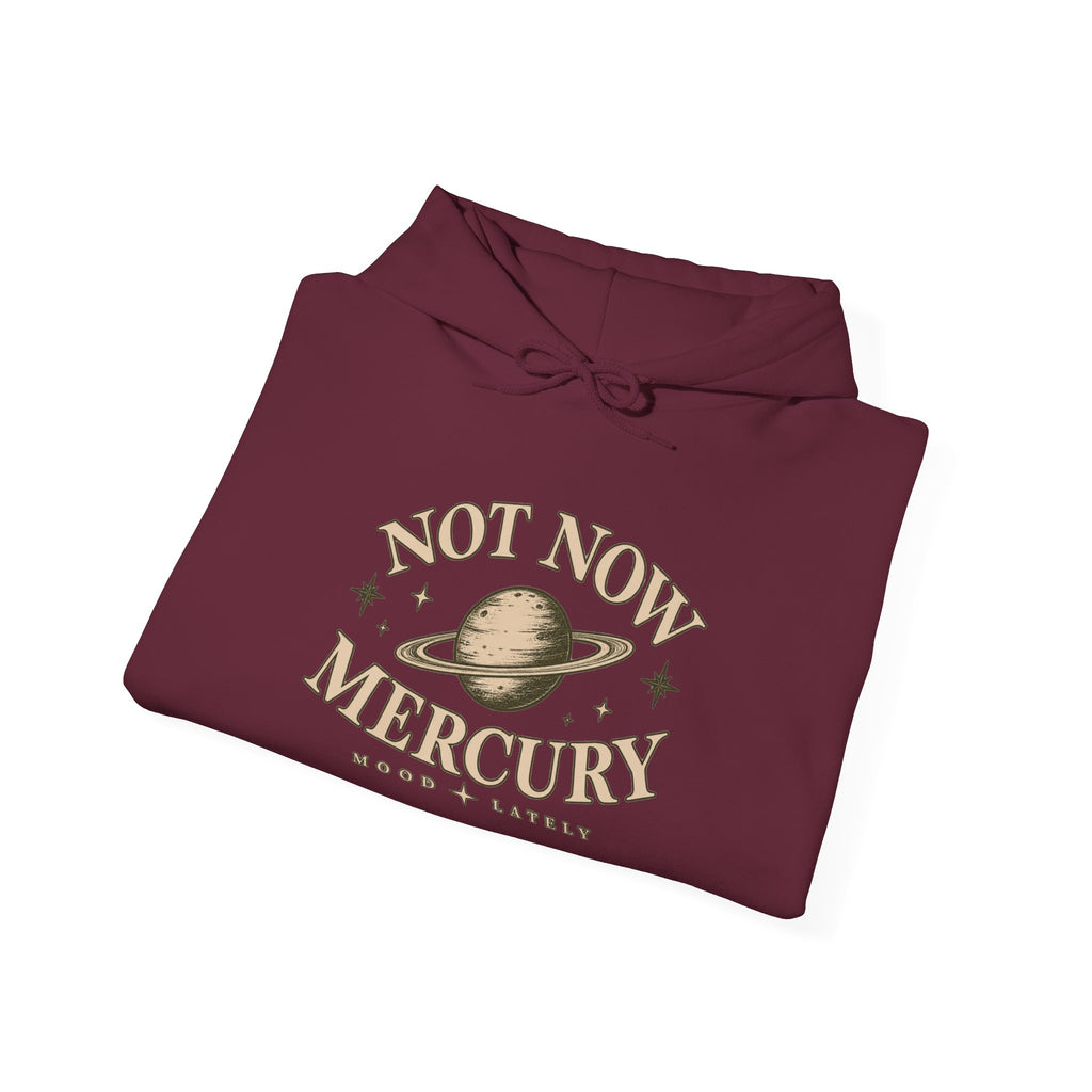Not Now Mercury Hoodie — Mercury Retrograde Astrology Pullover