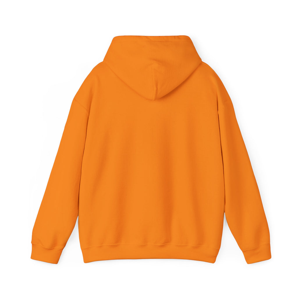 NO Minimal Grumpy Humor Hoodie | Deadpan Text, Introvert Humor
