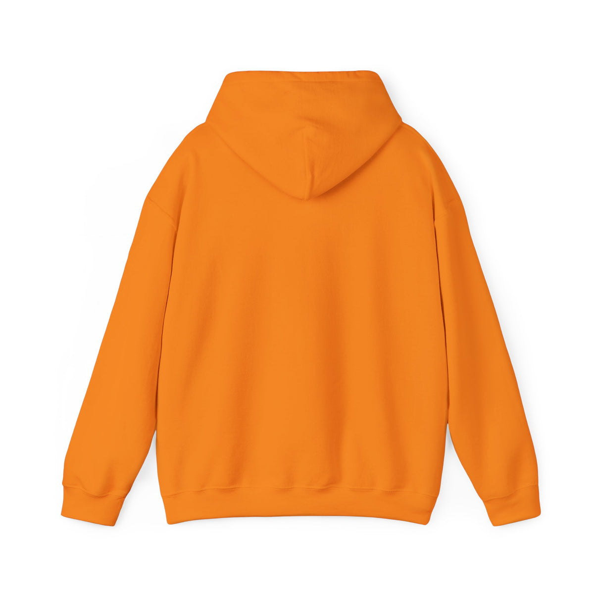 NO Minimal Grumpy Humor Hoodie | Deadpan Text, Introvert Humor