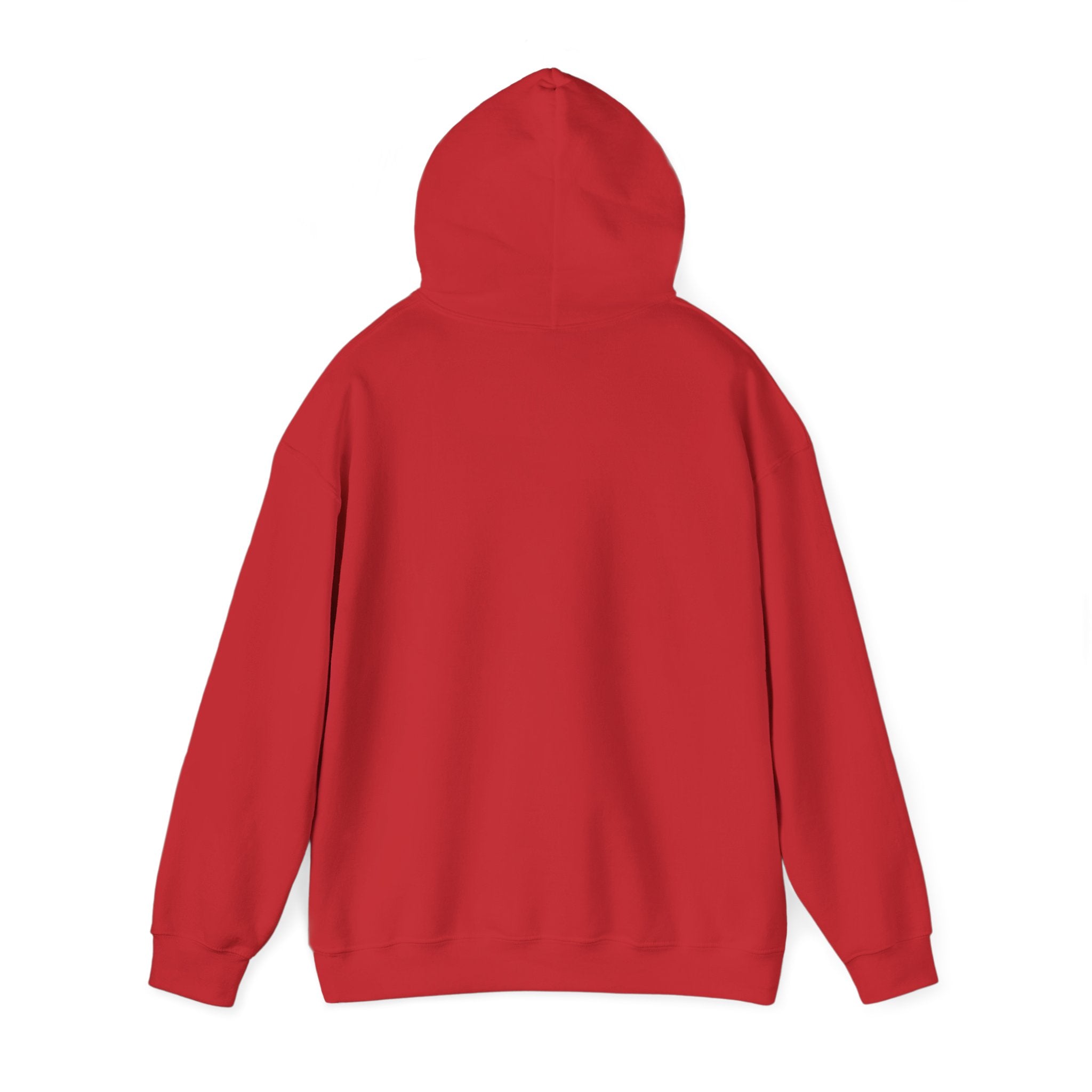 NO Minimal Grumpy Humor Hoodie | Deadpan Text, Introvert Humor