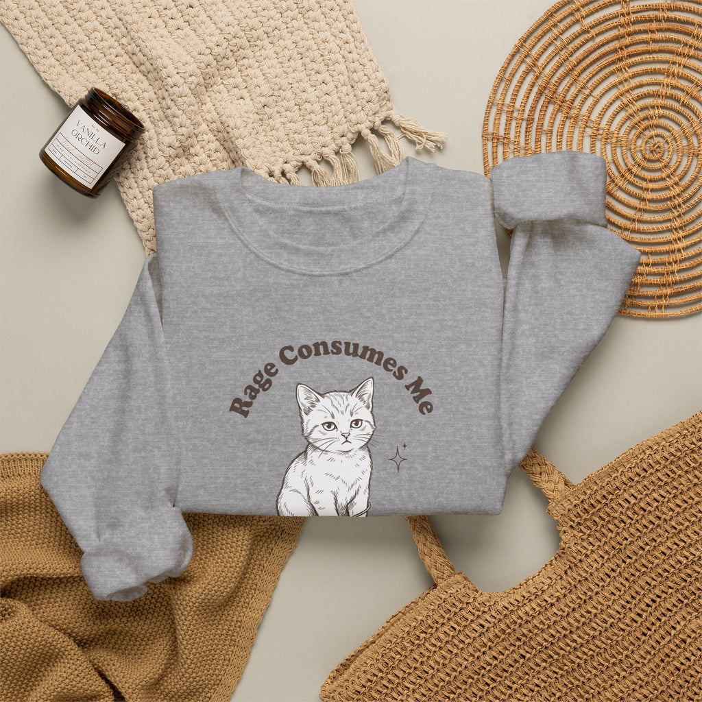 Rage Consumes Me kitten sweatshirt | vintage minimalist cat, ironic emotion