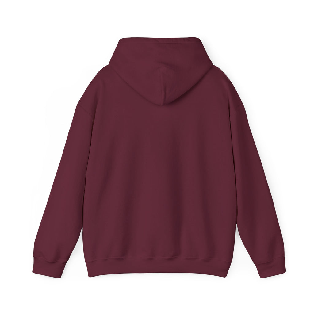 Not Now Mercury Hoodie — Mercury Retrograde Astrology Pullover