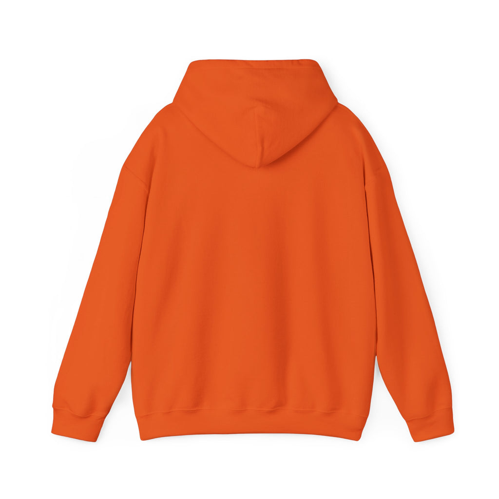 NO Minimal Grumpy Humor Hoodie | Deadpan Text, Introvert Humor