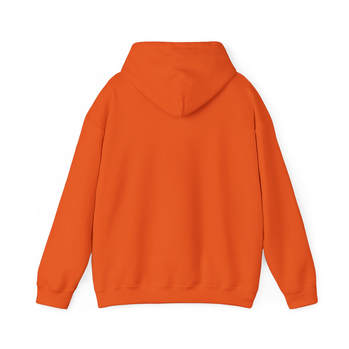NO Minimal Grumpy Humor Hoodie | Deadpan Text, Introvert Humor