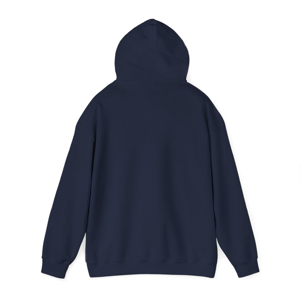 Meditating Raccoon Hoodie | Feral Raccoon Aesthetic, Celestial Wilderness