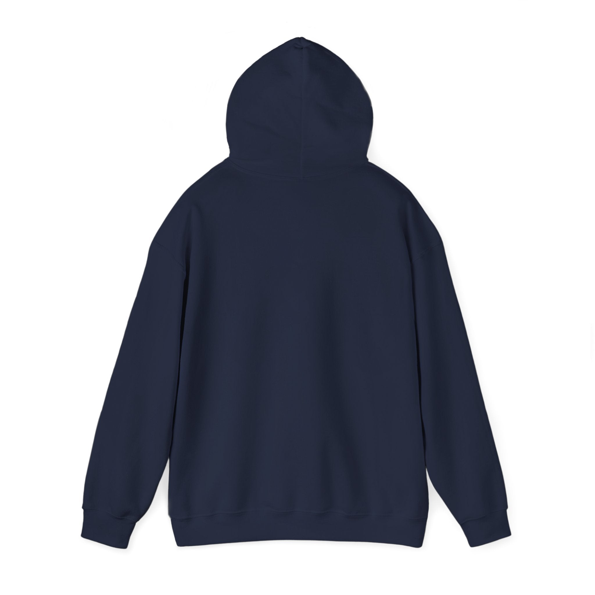 Meditating Raccoon Hoodie | Feral Raccoon Aesthetic, Celestial Wilderness