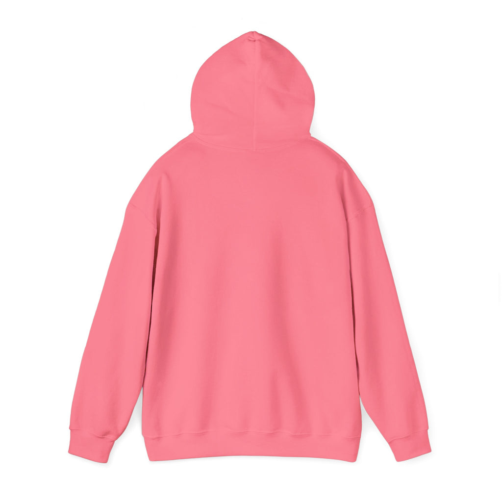 NO Minimal Grumpy Humor Hoodie | Deadpan Text, Introvert Humor