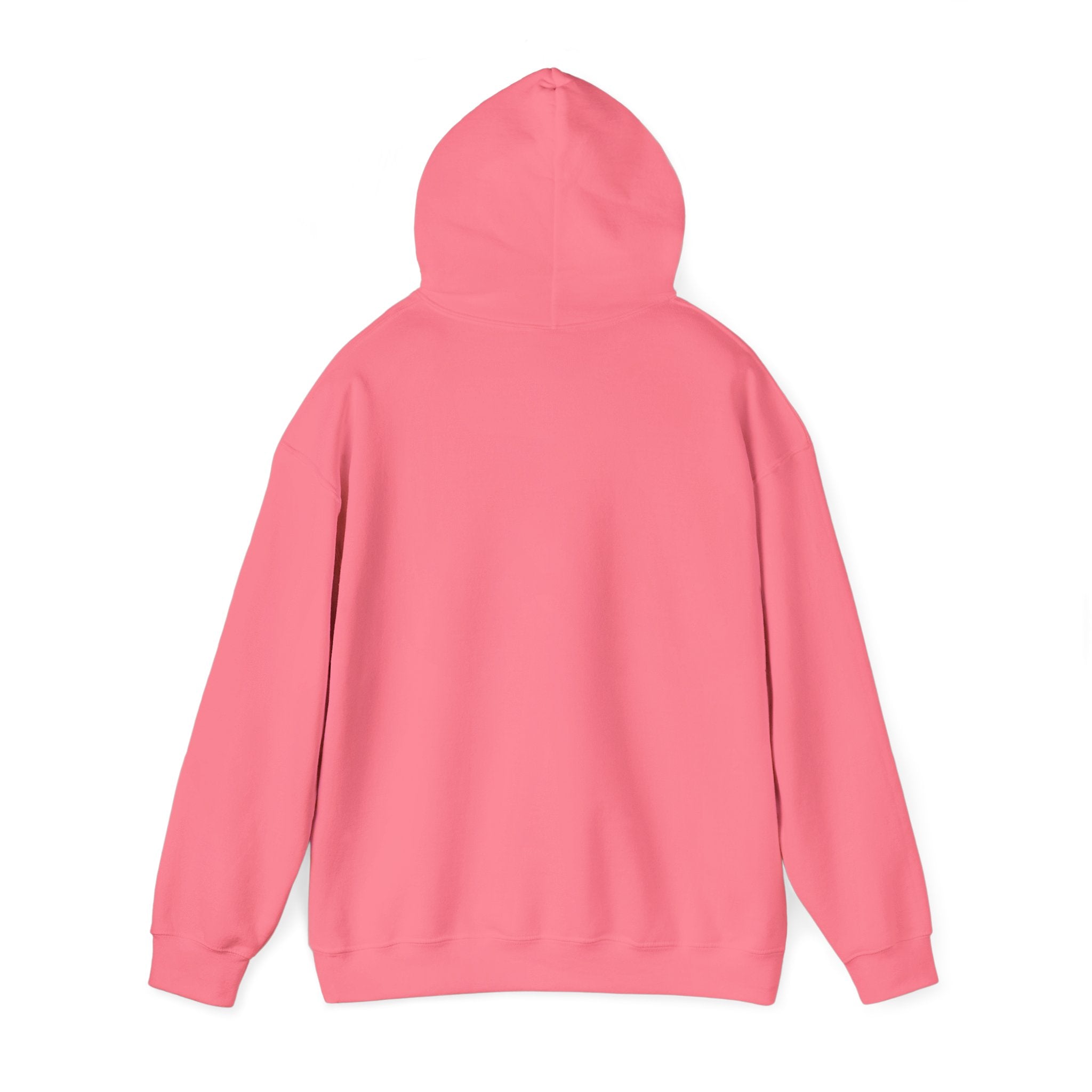 NO Minimal Grumpy Humor Hoodie | Deadpan Text, Introvert Humor