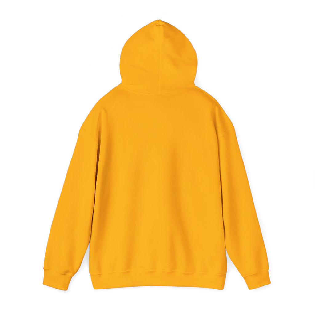 NO Minimal Grumpy Humor Hoodie | Deadpan Text, Introvert Humor