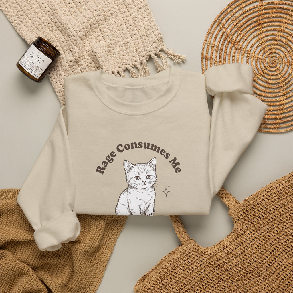 Rage Consumes Me kitten sweatshirt | vintage minimalist cat, ironic emotion