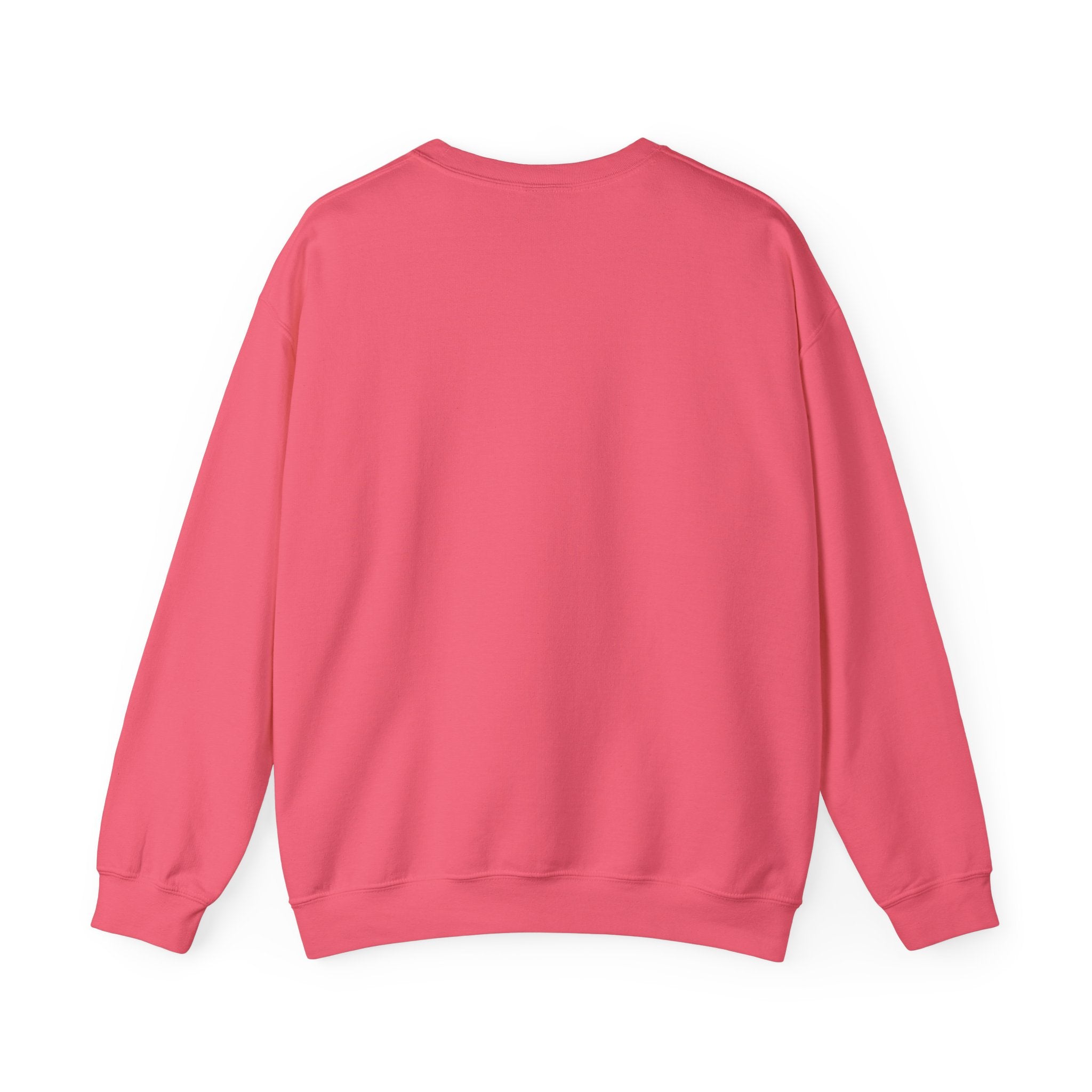 Meditating Raccoon Sweatshirt | Feral Raccoon Aesthetic, Celestial Wilderness