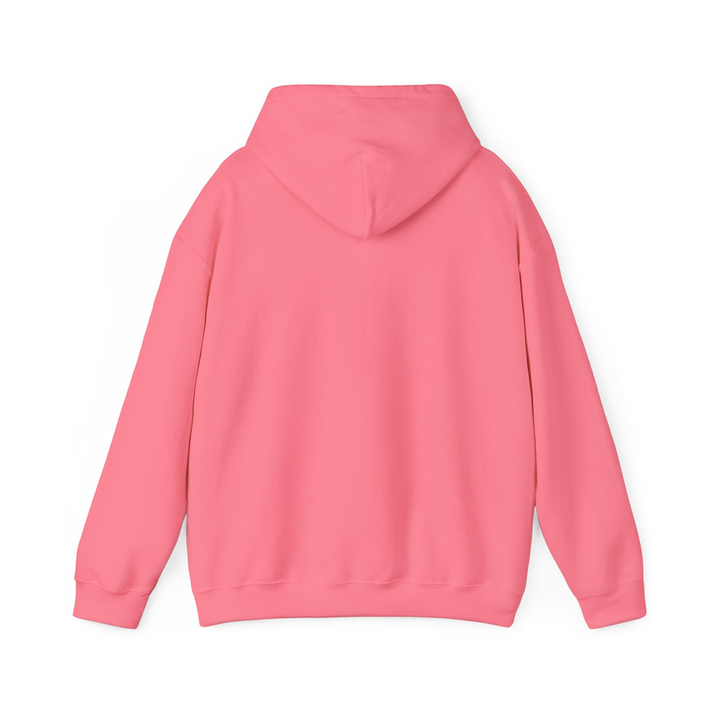 NO Minimal Grumpy Humor Hoodie | Deadpan Text, Introvert Humor