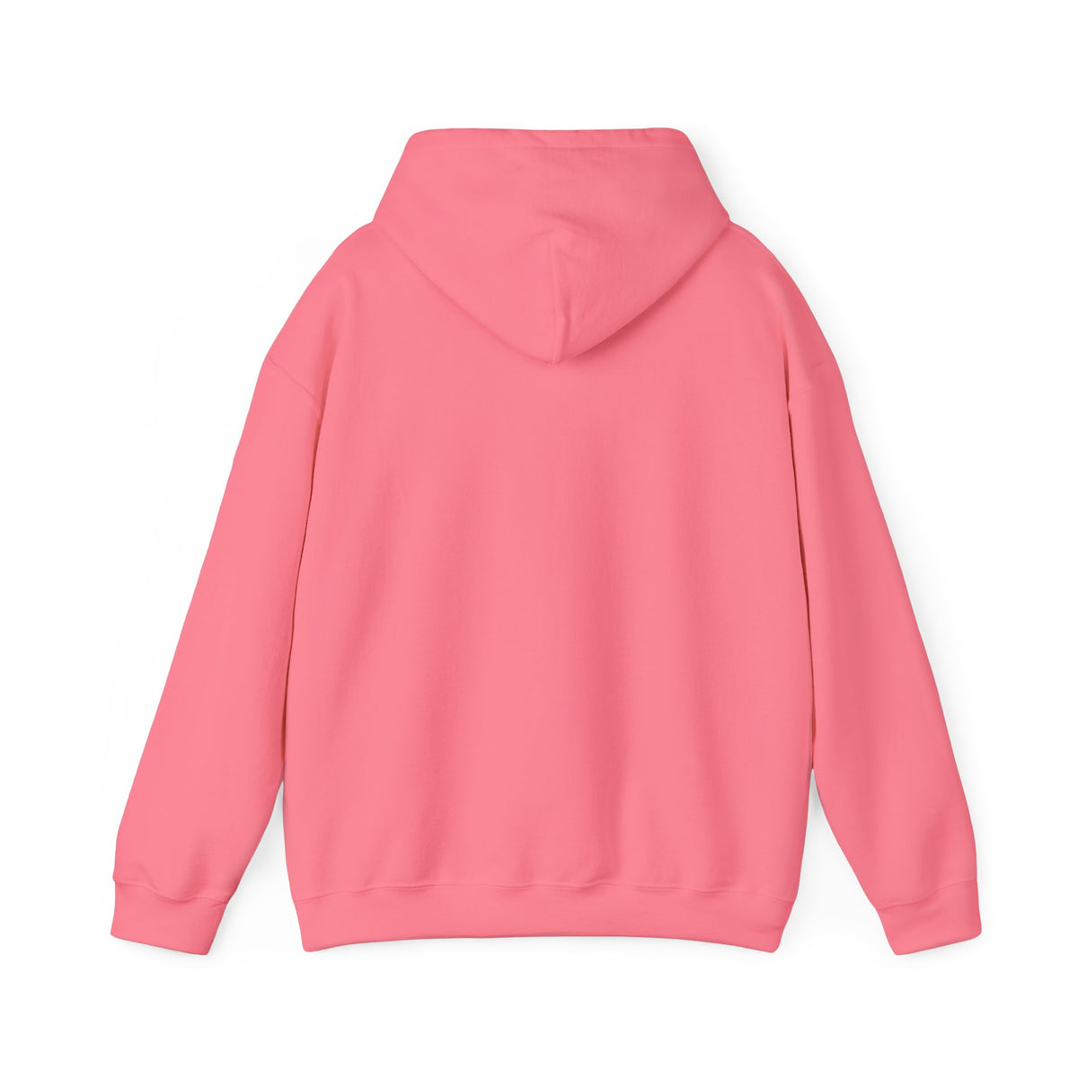 NO Minimal Grumpy Humor Hoodie | Deadpan Text, Introvert Humor