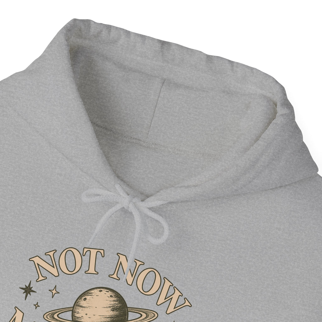 Not Now Mercury Hoodie — Mercury Retrograde Astrology Pullover