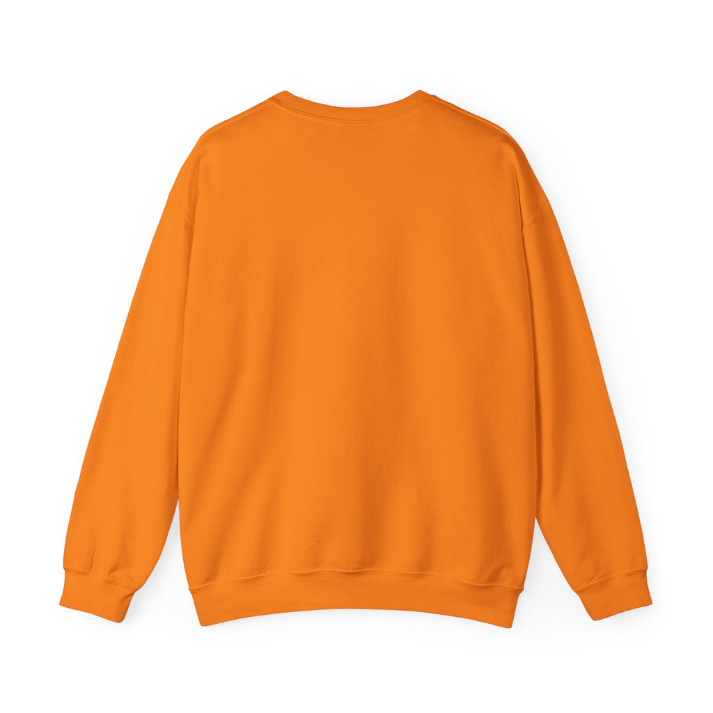 Meditating Raccoon Sweatshirt | Feral Raccoon Aesthetic, Celestial Wilderness