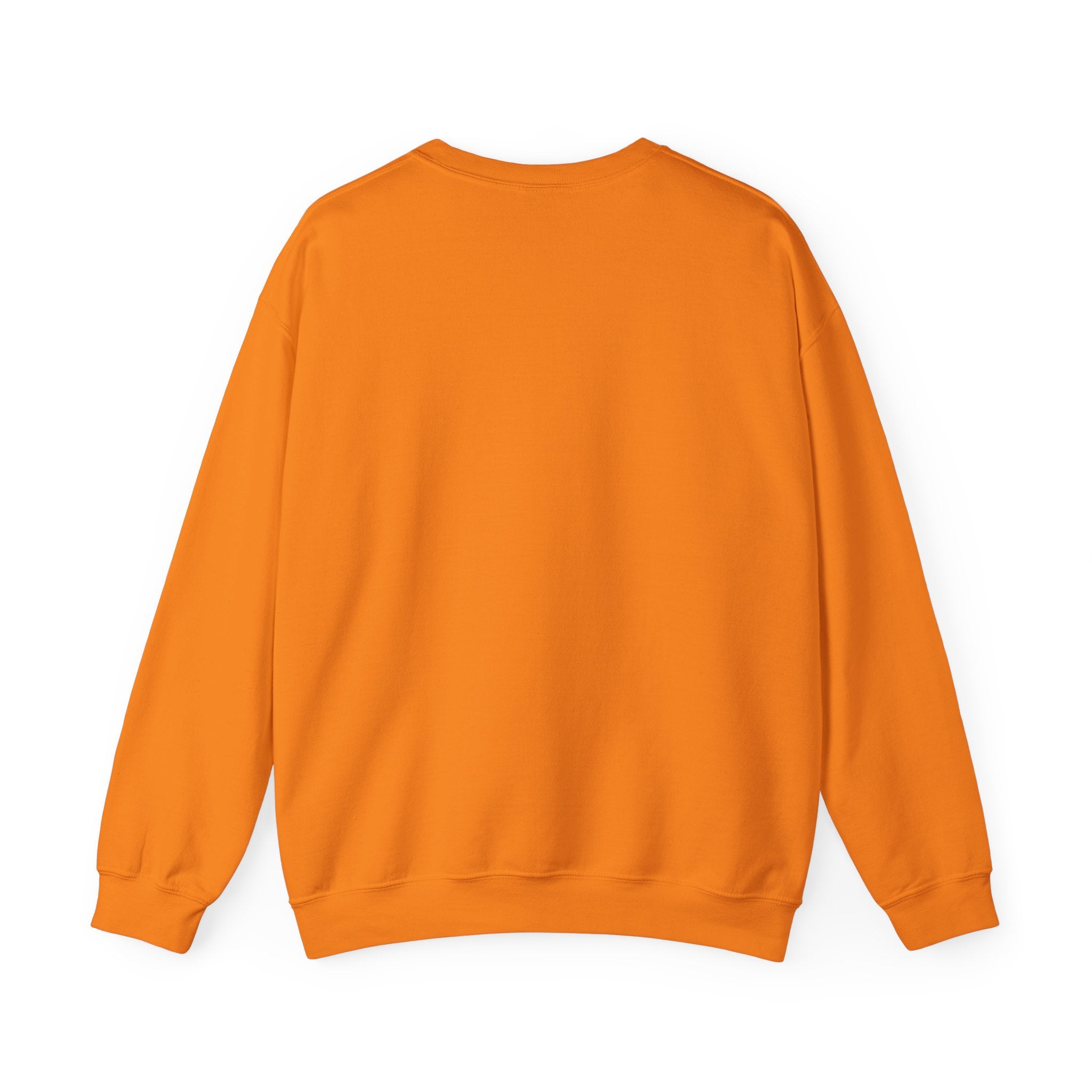 Meditating Raccoon Sweatshirt | Feral Raccoon Aesthetic, Celestial Wilderness