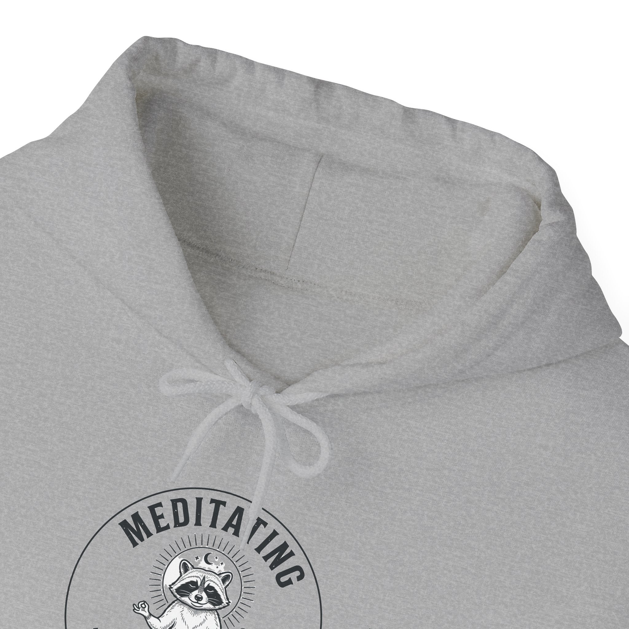 Meditating Raccoon Hoodie | Feral Raccoon Aesthetic, Celestial Wilderness