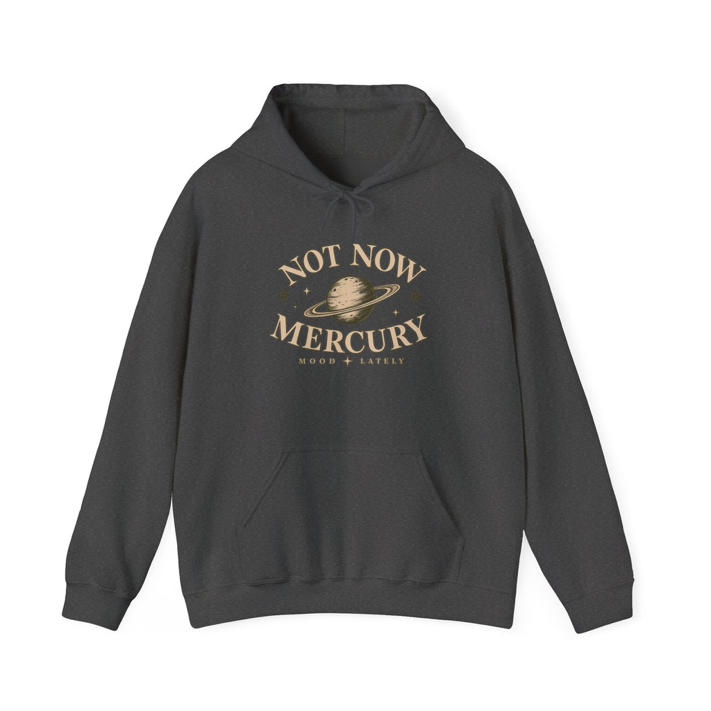 Not Now Mercury Hoodie — Mercury Retrograde Astrology Pullover