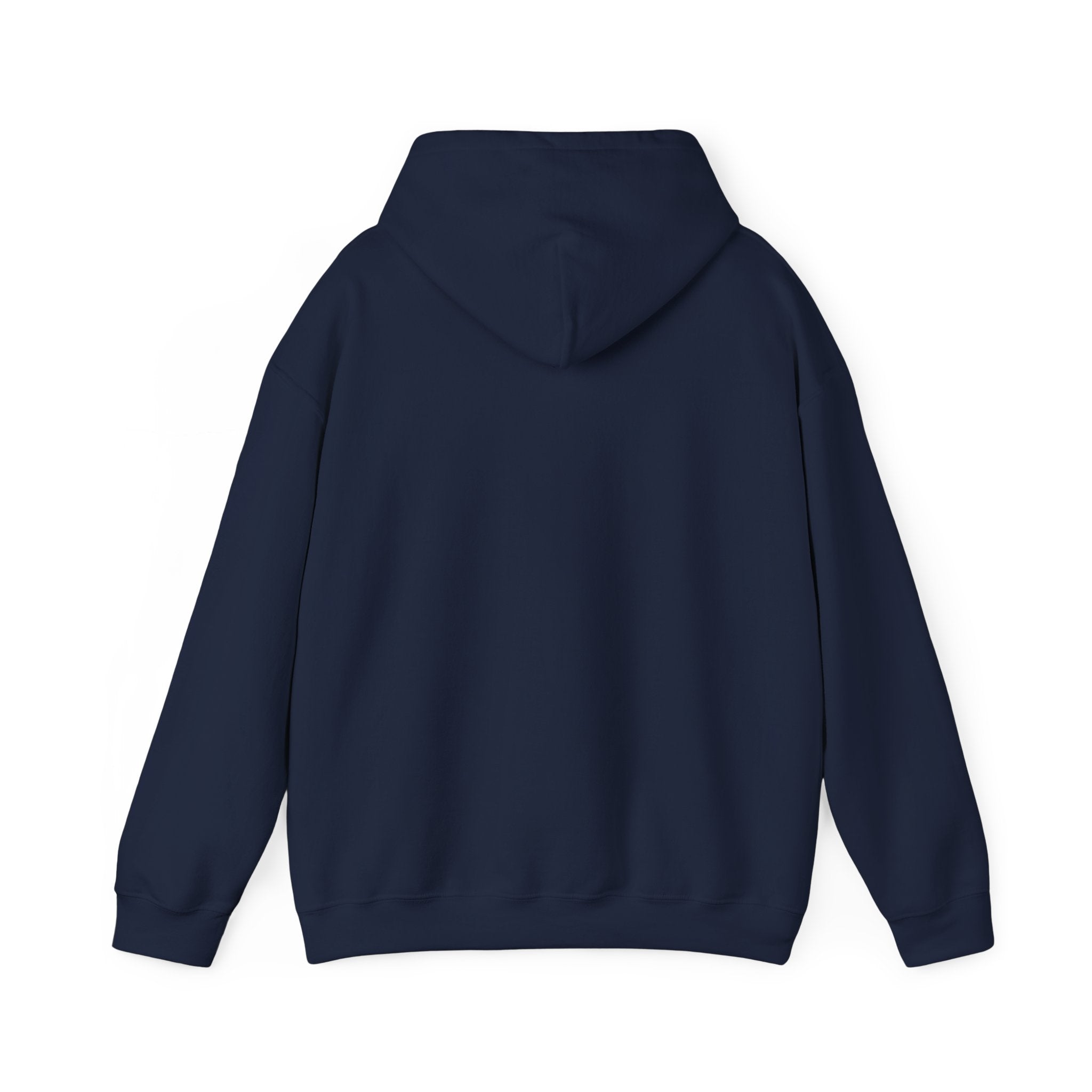 Meditating Raccoon Hoodie | Feral Raccoon Aesthetic, Celestial Wilderness