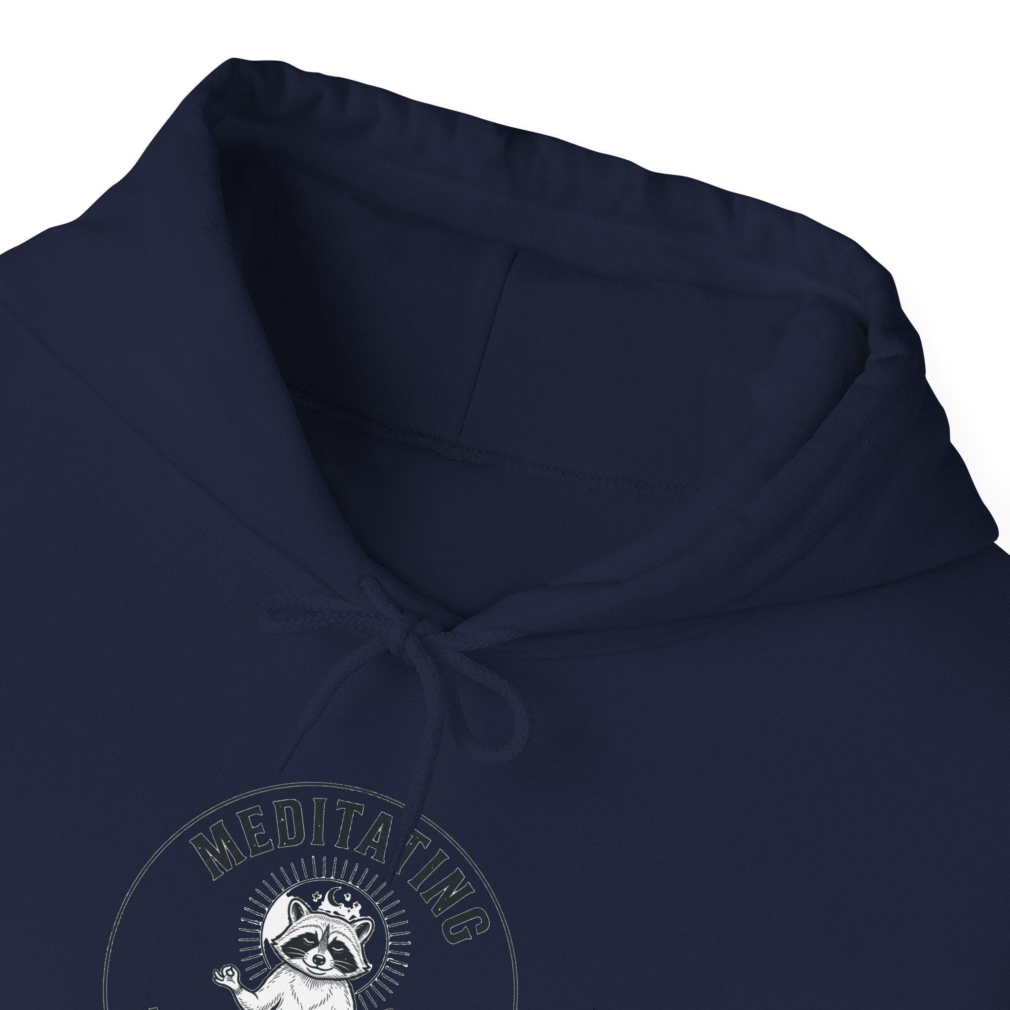 Meditating Raccoon Hoodie | Feral Raccoon Aesthetic, Celestial Wilderness