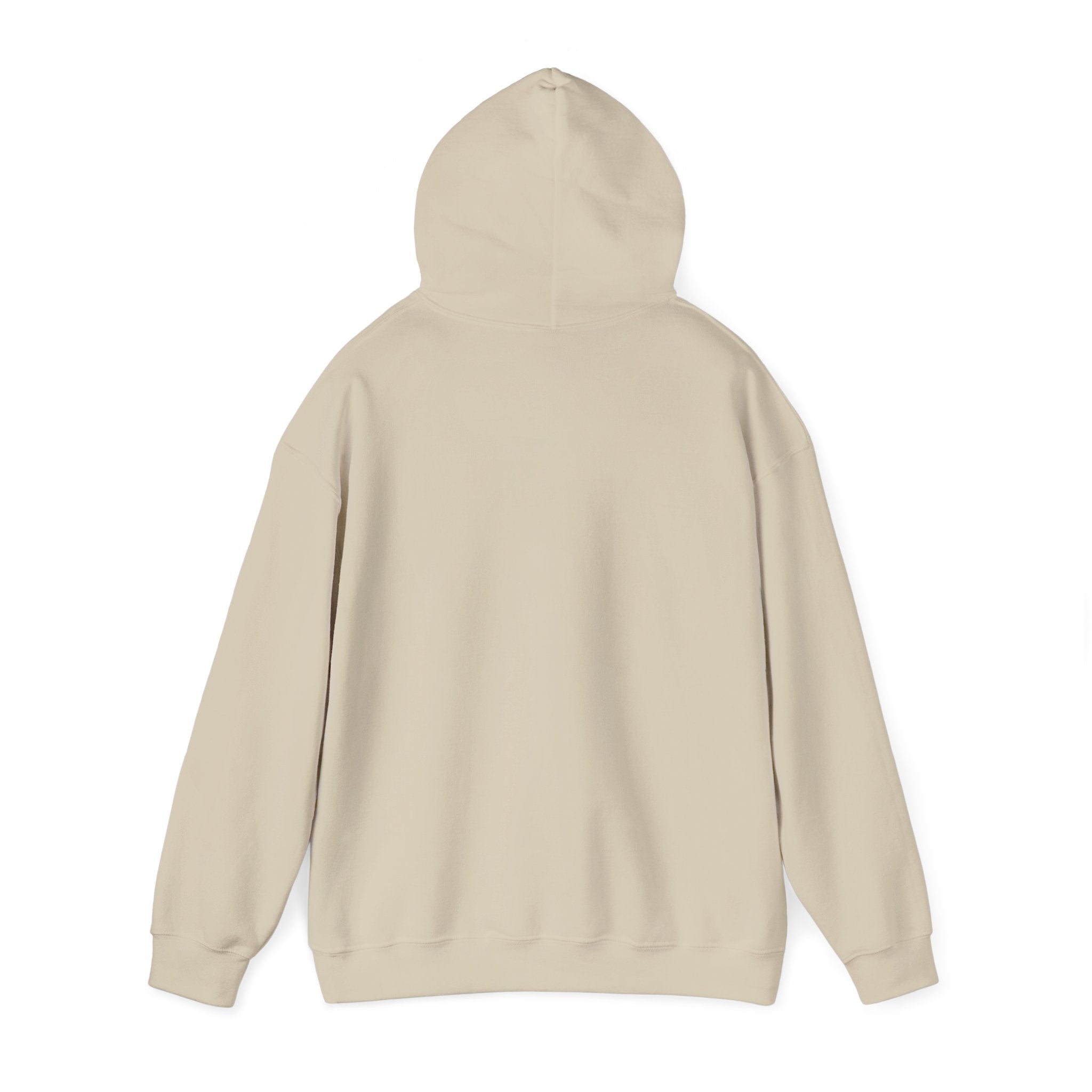 Little Bit Haunted Hoodie — Retro Halloween Ghost Pullover